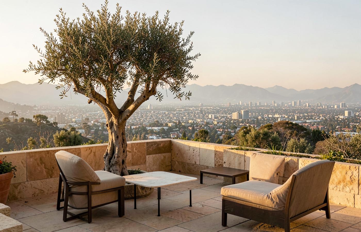 Los Angeles view from a luxury hillside terrace